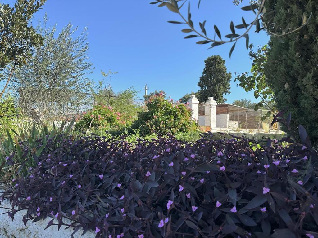 Masseria Strada Agriturismo จิโนซา ภายนอก รูปภาพ