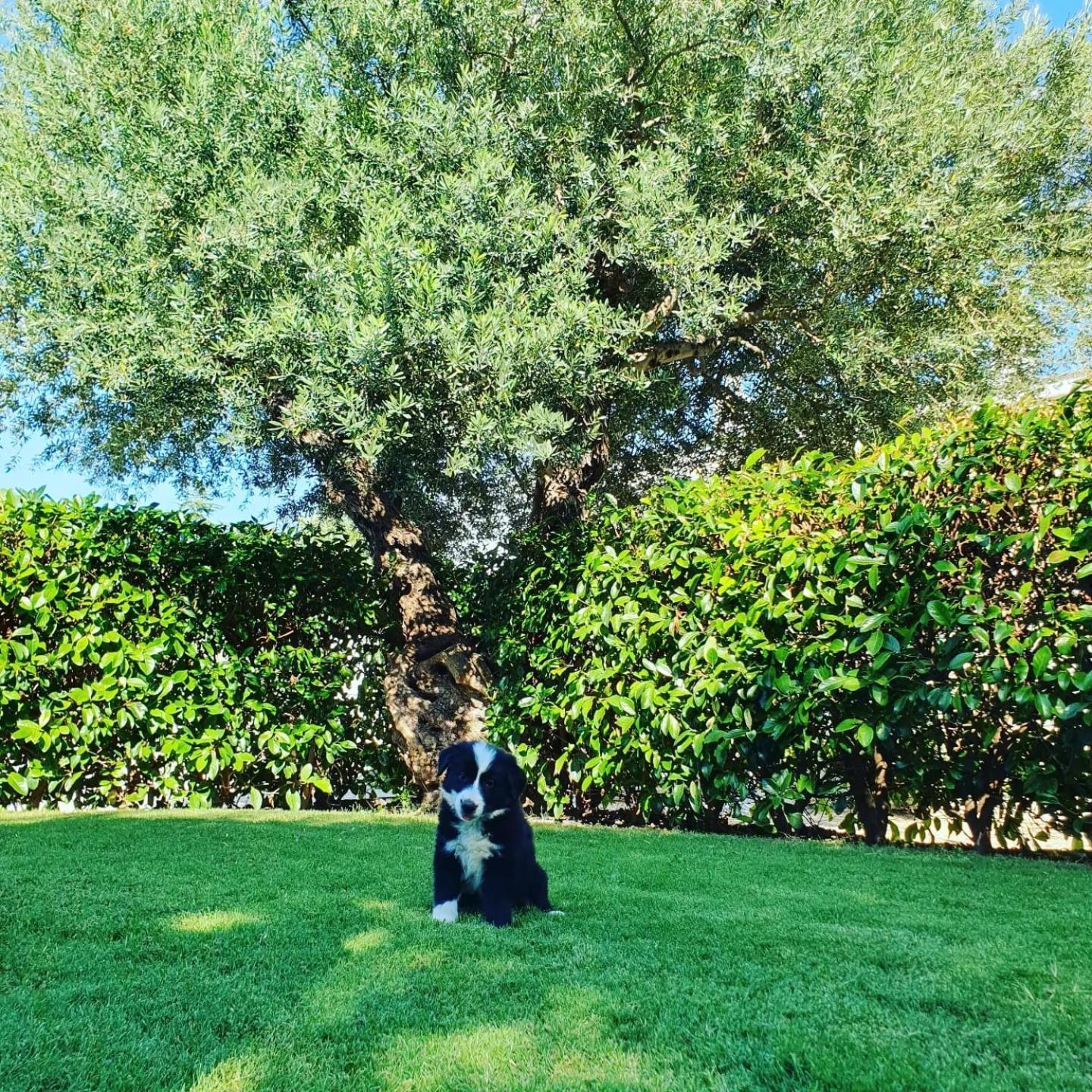 Masseria Strada Agriturismo จิโนซา ภายนอก รูปภาพ