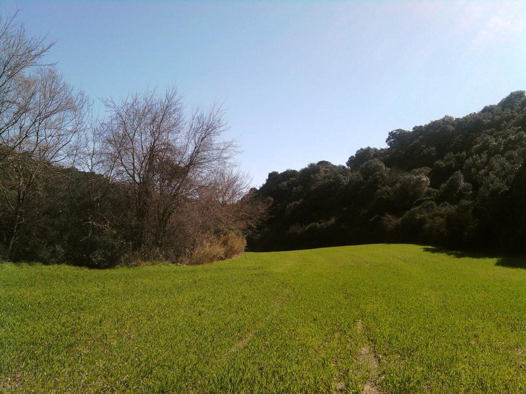 Masseria Strada Agriturismo จิโนซา ภายนอก รูปภาพ